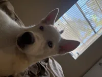 processed/ac1725a6-7976-4688-8cf0-a20ba947e842/listing/038a201f-e274-4bd6-9e9c-449401960b6a/1963d78c-12bc-4756-8366-0e0522a3bed9