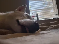 processed/ac1725a6-7976-4688-8cf0-a20ba947e842/listing/038a201f-e274-4bd6-9e9c-449401960b6a/ccf7a884-12b6-4649-92d6-becb45bfd7cd