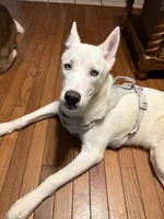 processed/ac1725a6-7976-4688-8cf0-a20ba947e842/listing/038a201f-e274-4bd6-9e9c-449401960b6a/f5a31e1b-7618-426d-8088-dc33533b0830