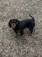 processed/ac1c343b-fd21-4750-9365-9c79e65ed8d6/listing/92dfbc16-84ea-4681-9bcb-ad3bb113f3f4/27457a90-39fe-4e2e-a5b7-474ca4dc7ab0