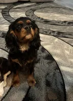 processed/ac1c343b-fd21-4750-9365-9c79e65ed8d6/listing/92dfbc16-84ea-4681-9bcb-ad3bb113f3f4/2f17be07-65f1-4ed3-842f-296d908e89e6