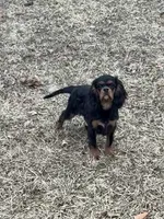 processed/ac1c343b-fd21-4750-9365-9c79e65ed8d6/listing/92dfbc16-84ea-4681-9bcb-ad3bb113f3f4/a7aefe30-1e8e-4e56-924d-8f4f9d1893f2