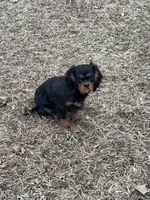 processed/ac1c343b-fd21-4750-9365-9c79e65ed8d6/listing/92dfbc16-84ea-4681-9bcb-ad3bb113f3f4/e1065cb6-2374-4f4e-965f-bf6b500aadb2