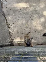 processed/ac1c9204-1452-45cd-a972-5f18a101f05c/listing/15de3643-f83f-4736-9fce-f7cfe723cdb5/6bc17b34-3ce4-4571-ad8c-972a92c76b10