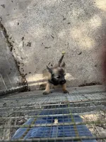 processed/ac1c9204-1452-45cd-a972-5f18a101f05c/listing/15de3643-f83f-4736-9fce-f7cfe723cdb5/fdd597f3-8269-45d6-a0ee-5ada84b6931b