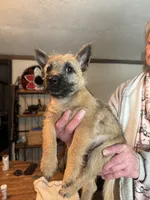 processed/ac1c9204-1452-45cd-a972-5f18a101f05c/listing/222c0fe1-5939-42cc-9fb4-43d8f74fe19e/0c5a8ef9-948d-4752-8a83-504d042cc190