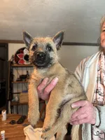 processed/ac1c9204-1452-45cd-a972-5f18a101f05c/listing/222c0fe1-5939-42cc-9fb4-43d8f74fe19e/7bf660f7-c099-4273-a66d-cd26232ce3d6