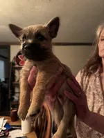 processed/ac1c9204-1452-45cd-a972-5f18a101f05c/listing/222c0fe1-5939-42cc-9fb4-43d8f74fe19e/88ddecf8-067f-4743-9535-6962108143aa