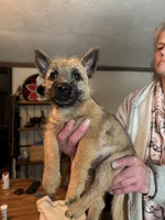 processed/ac1c9204-1452-45cd-a972-5f18a101f05c/listing/222c0fe1-5939-42cc-9fb4-43d8f74fe19e/f8d28539-5be2-4784-84cd-6dad78487a8a