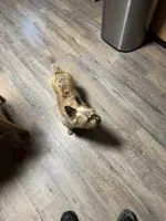 processed/ac1c9204-1452-45cd-a972-5f18a101f05c/listing/5706020b-7095-425c-a596-425ca1c72a25/28e0e902-cf74-4e67-800b-c75cc433b143