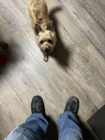 processed/ac1c9204-1452-45cd-a972-5f18a101f05c/listing/5706020b-7095-425c-a596-425ca1c72a25/a6523b2b-7b90-429e-b268-051b3f7308bd