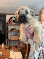 processed/ac1c9204-1452-45cd-a972-5f18a101f05c/listing/6e4e173d-a838-402c-80d2-8324d1cfb8a8/0f57f1d7-6be9-47b9-a4bc-69201f7770d6