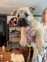 processed/ac1c9204-1452-45cd-a972-5f18a101f05c/listing/6e4e173d-a838-402c-80d2-8324d1cfb8a8/f6cc7a00-eedb-469e-b45a-94f32c1da065