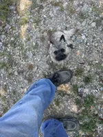 processed/ac1c9204-1452-45cd-a972-5f18a101f05c/listing/888e4b0e-9939-40dc-9b9e-ee7cb5e9d484/4a45a555-c456-44e4-a269-1e0e957b7ecc