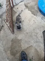 processed/ac1c9204-1452-45cd-a972-5f18a101f05c/listing/888e4b0e-9939-40dc-9b9e-ee7cb5e9d484/60a6e114-da17-42d1-9037-fcb73d27f792