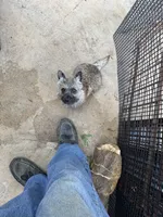 processed/ac1c9204-1452-45cd-a972-5f18a101f05c/listing/888e4b0e-9939-40dc-9b9e-ee7cb5e9d484/e6cdca91-1288-4b38-a144-b2b655a31352