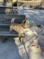 processed/ac1c9204-1452-45cd-a972-5f18a101f05c/listing/a514997c-3138-4b30-bd1b-2394ca990618/cc0c21f0-0fd5-4500-8f2d-5866a50bb021