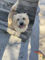 processed/ac1c9204-1452-45cd-a972-5f18a101f05c/listing/a514997c-3138-4b30-bd1b-2394ca990618/e393536e-881d-41bf-8e9b-d9195e4641e1