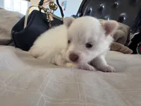 processed/ac2138f2-83db-4adb-8709-da0f1ed1856f/listing/fcca12b7-26eb-4215-914a-e99488465cf6/0b0375a4-4f60-4415-8e2a-ae4ec6278775