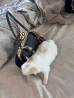 processed/ac2138f2-83db-4adb-8709-da0f1ed1856f/listing/fcca12b7-26eb-4215-914a-e99488465cf6/7cfc34be-8496-4ee1-9bc8-af334b7e63ed