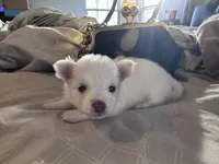 processed/ac2138f2-83db-4adb-8709-da0f1ed1856f/listing/fcca12b7-26eb-4215-914a-e99488465cf6/e999d960-d120-4751-8983-f995b8bc98b0