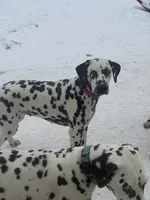 processed/ac2bfc2f-4bad-4856-82c3-3c0851330cc6/listing/009a5eb3-3322-48b0-8117-579d09018dd1/5ba123af-9ccf-4244-ac6d-9520487e06d4