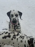 processed/ac2bfc2f-4bad-4856-82c3-3c0851330cc6/listing/009a5eb3-3322-48b0-8117-579d09018dd1/d69c31ea-a66c-4e05-b487-c154c6f2bfd3