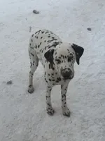 processed/ac2bfc2f-4bad-4856-82c3-3c0851330cc6/listing/7f4ac8ab-395f-4f7f-a845-908b6e95e103/5909cdbf-3d2b-48e9-a2ff-5aafb7e34ae6