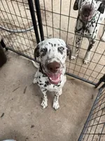 processed/ac2bfc2f-4bad-4856-82c3-3c0851330cc6/listing/7f4ac8ab-395f-4f7f-a845-908b6e95e103/d0d839f6-86ac-47e9-9023-c40f086c15b8