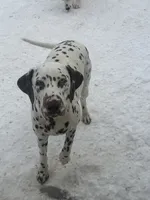 processed/ac2bfc2f-4bad-4856-82c3-3c0851330cc6/listing/7f4ac8ab-395f-4f7f-a845-908b6e95e103/fde7f0ae-370b-4f48-8836-c9943b9ffbe5