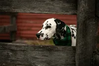 processed/ac2bfc2f-4bad-4856-82c3-3c0851330cc6/listing/885c3d39-494f-4c97-8bc1-fcc5b75dc1e2/2f75eb13-5293-484d-9757-82c568a23483