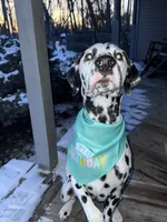 processed/ac2bfc2f-4bad-4856-82c3-3c0851330cc6/listing/885c3d39-494f-4c97-8bc1-fcc5b75dc1e2/d2f14dc1-3539-4f5b-ae2b-1189336c7f90