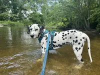 processed/ac2bfc2f-4bad-4856-82c3-3c0851330cc6/listing/885c3d39-494f-4c97-8bc1-fcc5b75dc1e2/e3d058fe-0d5f-4447-8393-d58e34765664