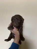 processed/ac3eed3f-bc34-47a2-9e99-02db42e6d60c/facility/05c6cc32-8bf8-4a98-bcce-952cf7a40f48