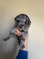 processed/ac3eed3f-bc34-47a2-9e99-02db42e6d60c/facility/0befdaee-ed89-49eb-858e-0d6560a08de0