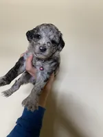 processed/ac3eed3f-bc34-47a2-9e99-02db42e6d60c/facility/33d3f341-d5ed-41ff-95c7-4fb227836f06