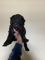 processed/ac3eed3f-bc34-47a2-9e99-02db42e6d60c/facility/bc86c8ea-f5b6-4e47-a72e-370cb774ac33