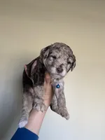 processed/ac3eed3f-bc34-47a2-9e99-02db42e6d60c/facility/cc920925-b199-4933-b2f2-2ce85233138a