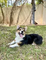 processed/ac3f59dd-5ace-48a5-a021-3e7495b98703/facility/ad553fdf-4634-40b1-a1e1-ec35326e0c3a