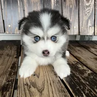 processed/ac448cfb-bb42-4bbf-92ab-b20e8bd25c5a/facility/0e3cf2dd-30fd-4805-8795-4eff08ffeb47