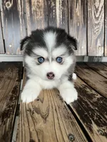 processed/ac448cfb-bb42-4bbf-92ab-b20e8bd25c5a/facility/0e3cf2dd-30fd-4805-8795-4eff08ffeb47