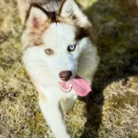 processed/ac448cfb-bb42-4bbf-92ab-b20e8bd25c5a/facility/d09e5faf-40ba-4d35-83f2-34a9c413363b