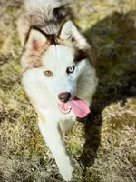 processed/ac448cfb-bb42-4bbf-92ab-b20e8bd25c5a/facility/d09e5faf-40ba-4d35-83f2-34a9c413363b