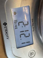 JoJo, a female Chihuahua for sale in Smithfield, NC – Photo 3 of 5