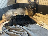 processed/ac5bc34a-af15-4730-b3cc-3756a1608e01/facility/0cdf7afc-4d90-487c-ac91-af82b7567da1