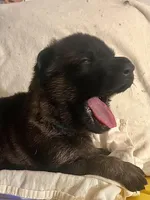 processed/ac5bc34a-af15-4730-b3cc-3756a1608e01/facility/18cb7e70-fdbb-4090-9d8c-9039767ef9e8