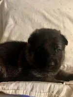 processed/ac5bc34a-af15-4730-b3cc-3756a1608e01/facility/4f6d91a8-975a-4794-a138-8a212217b319