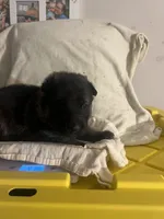 processed/ac5bc34a-af15-4730-b3cc-3756a1608e01/facility/62b508c0-b332-40ee-8ec1-a5ebffe08037