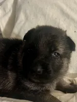 processed/ac5bc34a-af15-4730-b3cc-3756a1608e01/facility/db2ab4dc-1c6c-45ab-bd6c-3eef26ba8e5b