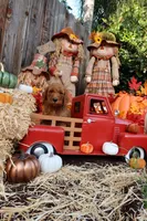 Raphael, a male Goldendoodle for sale in Clovis, CA – 1 of 6